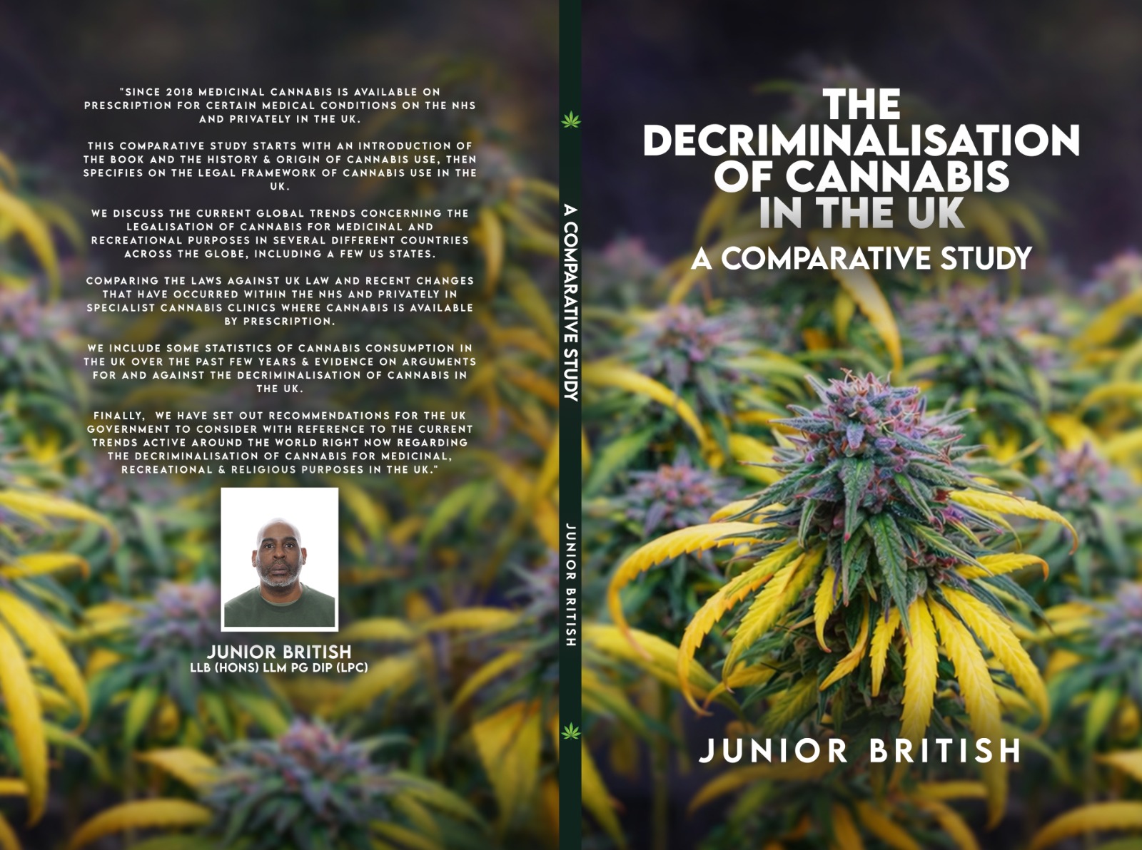 The Decriminalisation of Cannabis in the UK upcoming book cover